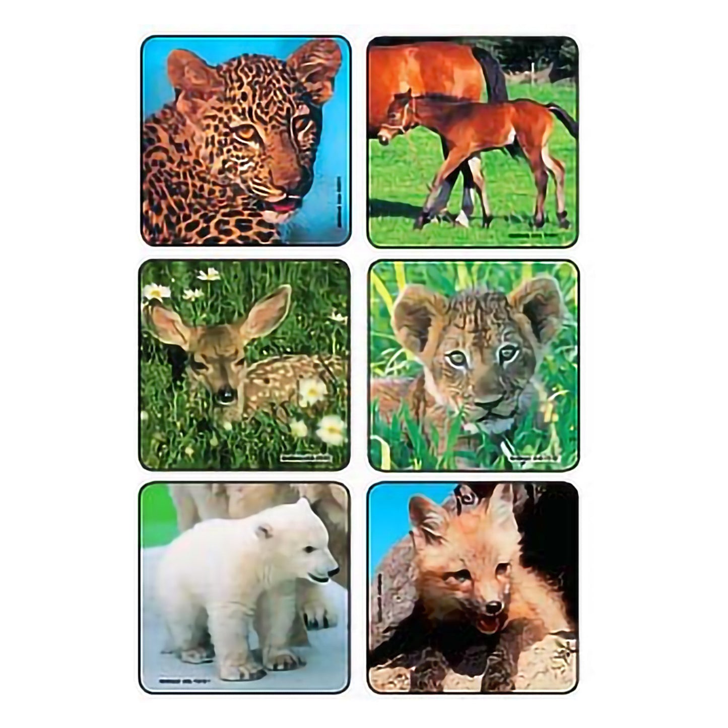 Kids Love Stickers® 90 per Pack Baby Animal Photos , Assorted Sticker 2-1/2 Inch 2001P