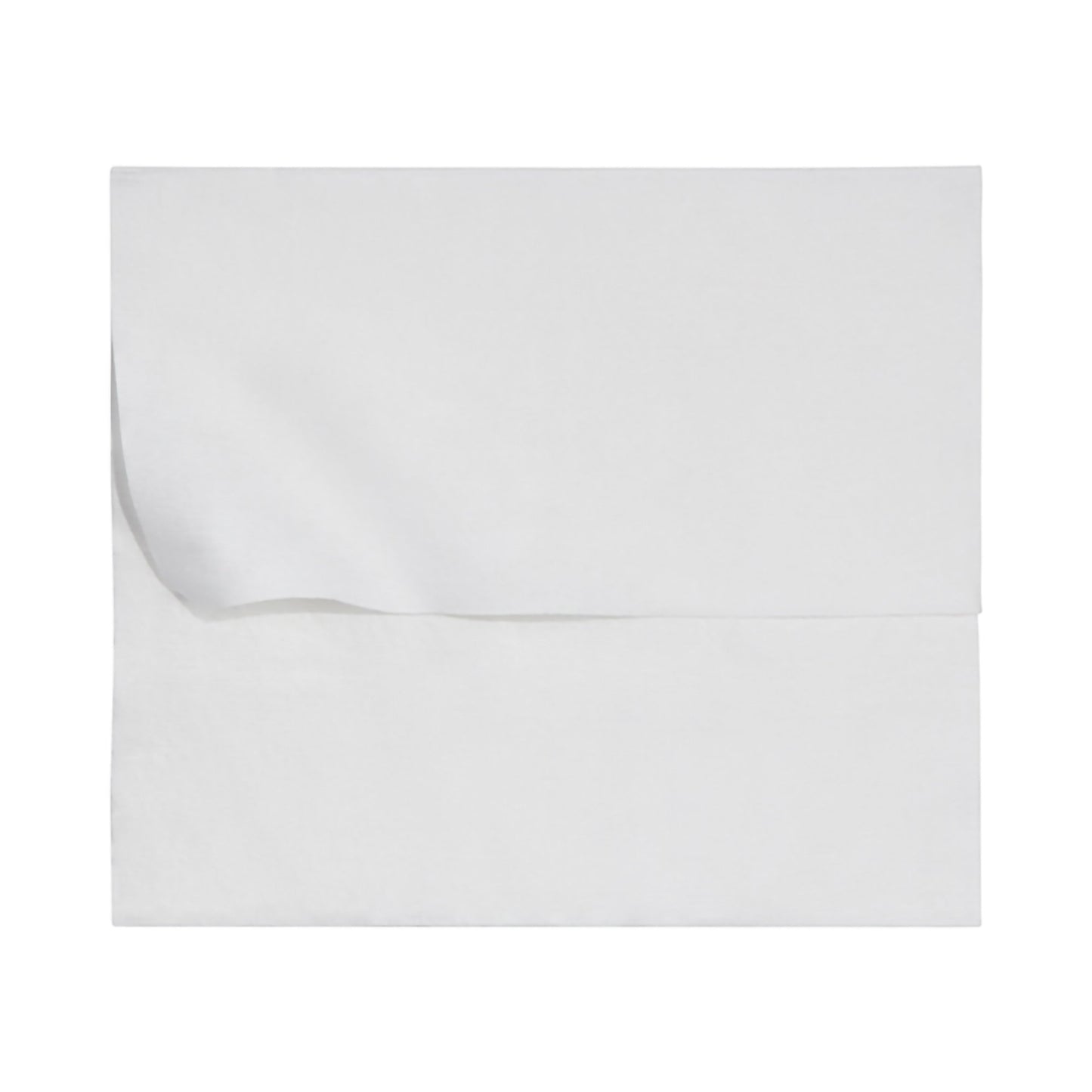 McKesson Flushable* Wet Wipes XL - Unscented, 48 Wipes per Pack DXLU48