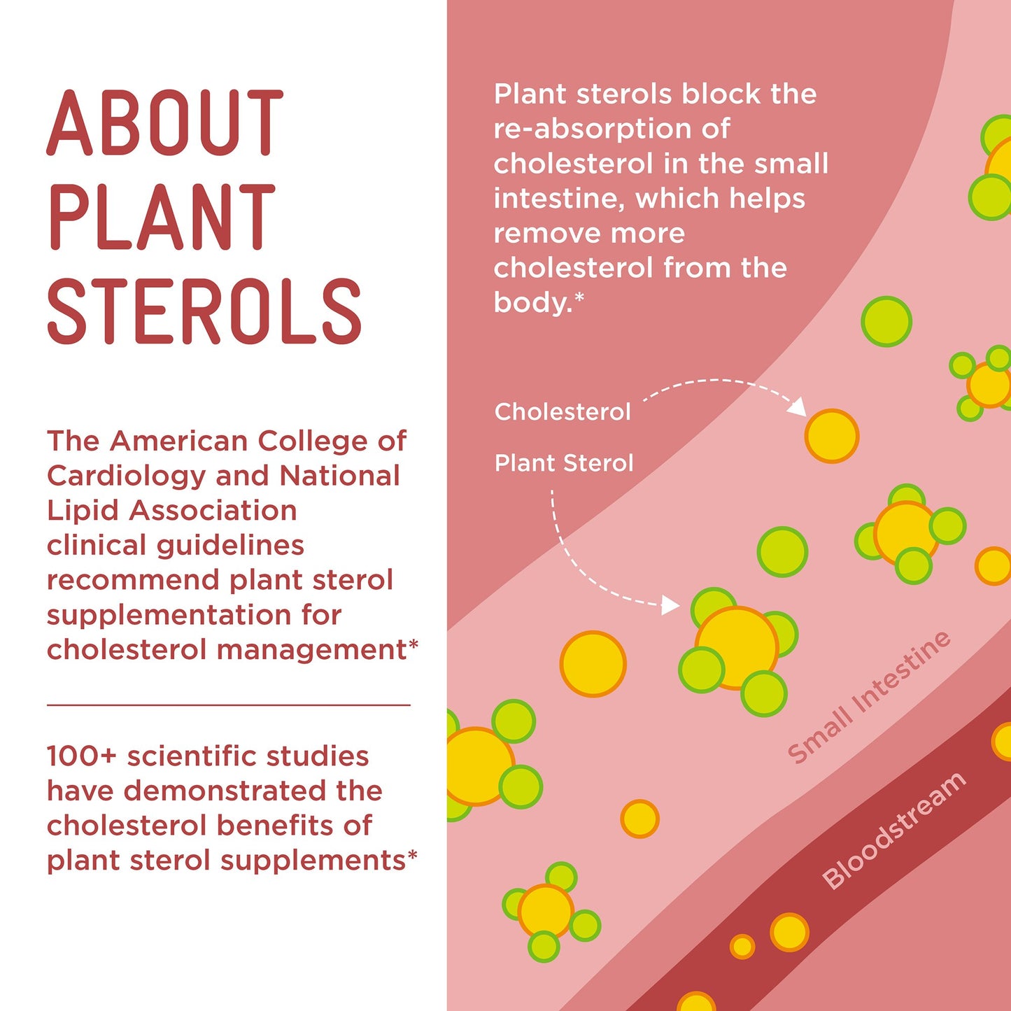 Piper Biosciences Clinical Strength LDL Healthy Cholesterol Gummies 855612006137