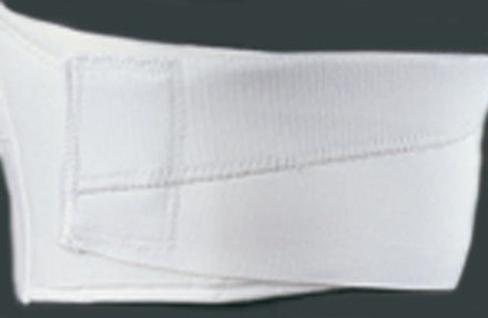 Torso
