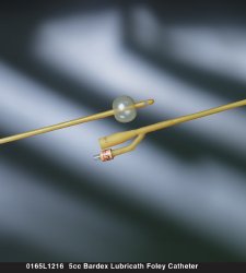 Foley Catheter Bardex® Lubricath® 2-Way Standard Tip 5 cc Balloon 22 Fr. Hydrophilic Polymer Coated Latex - 0165L22