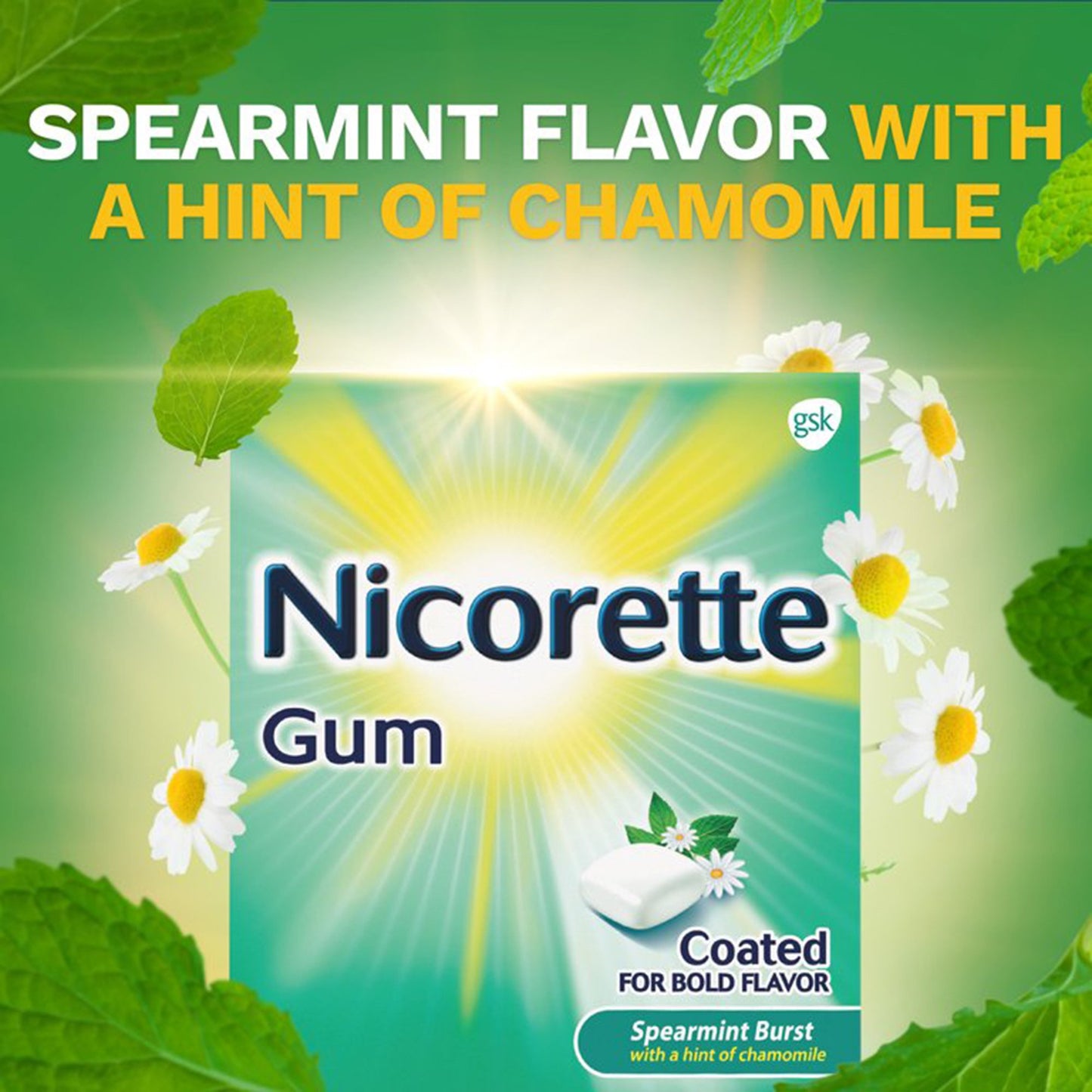 Nicorette Stop Smoking Aid Gum 4 mg Spearmint Burst with a Hint of Chamomile 00135053302