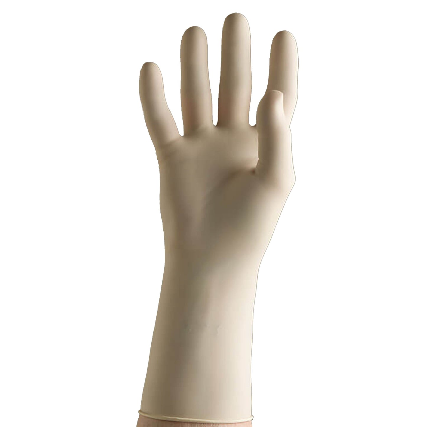 DermAssist® Prestige® Polyisoprene Surgical Glove, Size 8, Ivory 134800