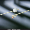 Foley Catheter Bardex® I.C. 2-Way Standard Tip 5 cc Balloon 22 Fr. Silver Hydrogel Coated Latex - 0165SI22