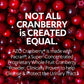 AZO Cranberry® Urinary Tract Health Supplement 87651042067