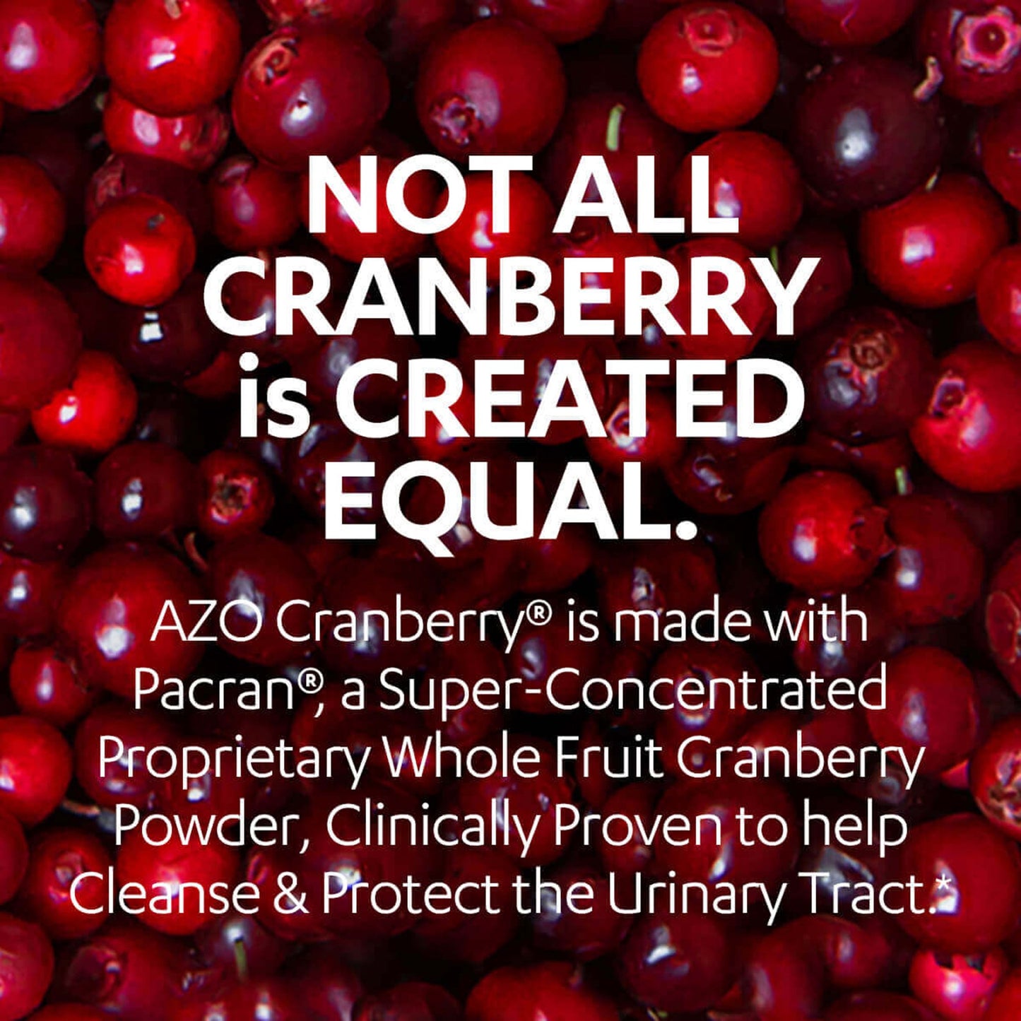 AZO Cranberry® Urinary Tract Health Supplement 87651042067