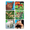 Kids Love Stickers® 90 per Pack Baby Animal Photos , Assorted Sticker 2-1/2 Inch 2001P