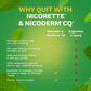 Nicorette Stop Smoking Aid Gum 4 mg Spearmint Burst with a Hint of Chamomile 00135053302