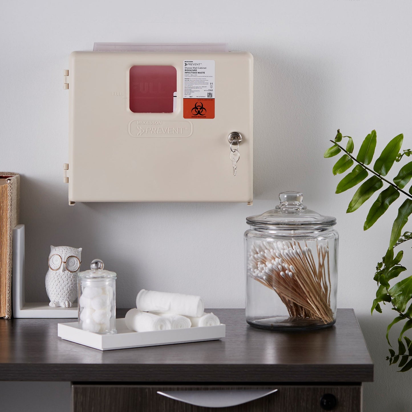McKesson Prevent® Sharps Collector Wall Cabinet, 12¼ x 4¾ x 10 Inch 2263