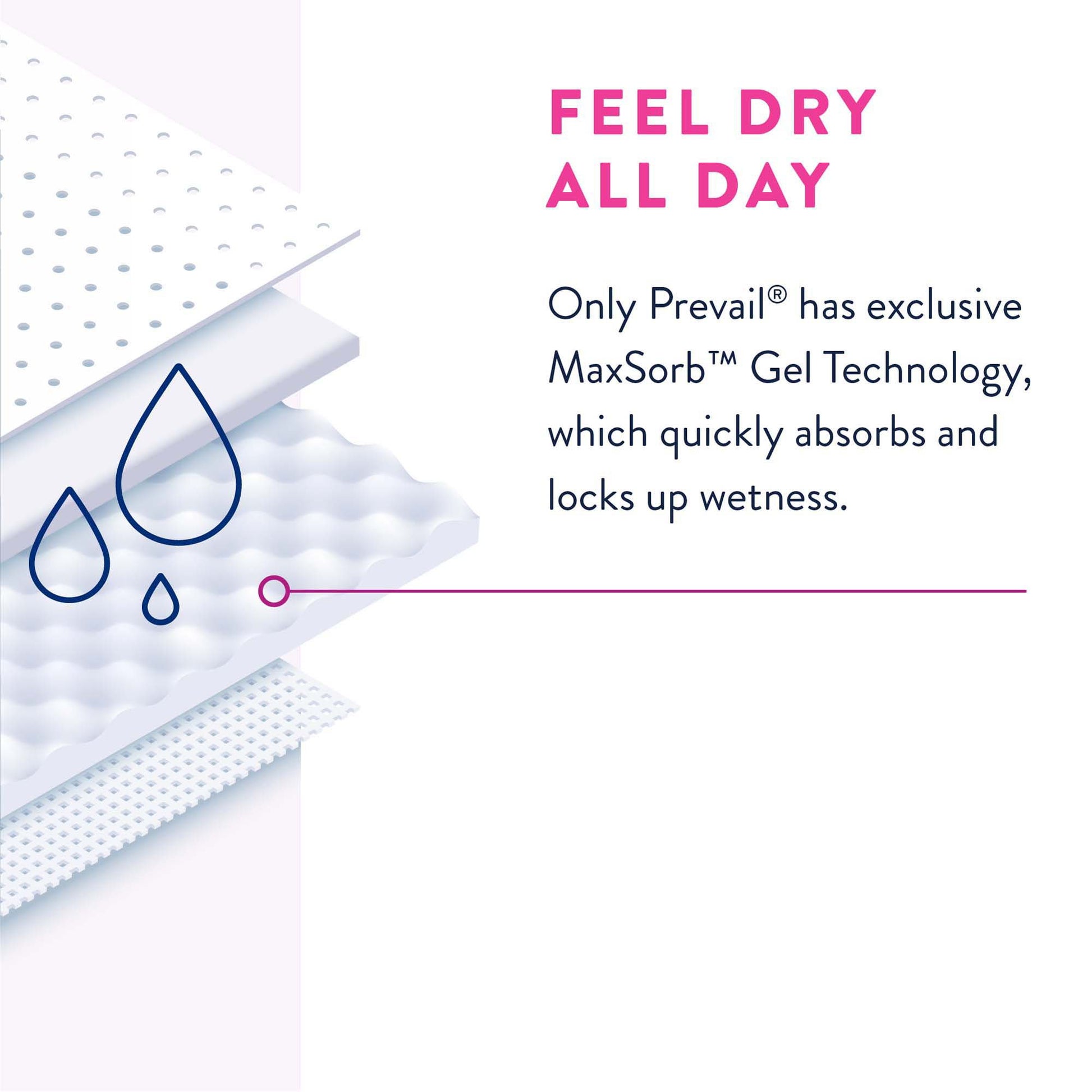 Prevail® Daily Absorbent Underwear, X-Large, Lavender | PWC-514/1 Medsitis.com_Medsitis_Medical_Supply_6