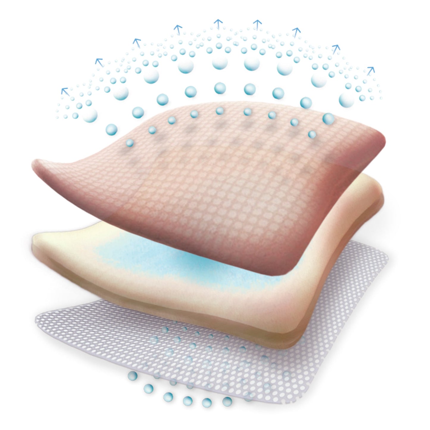 Allevyn Gentle Border Foam Dressing, 10 x 10 Centimeter 66800270