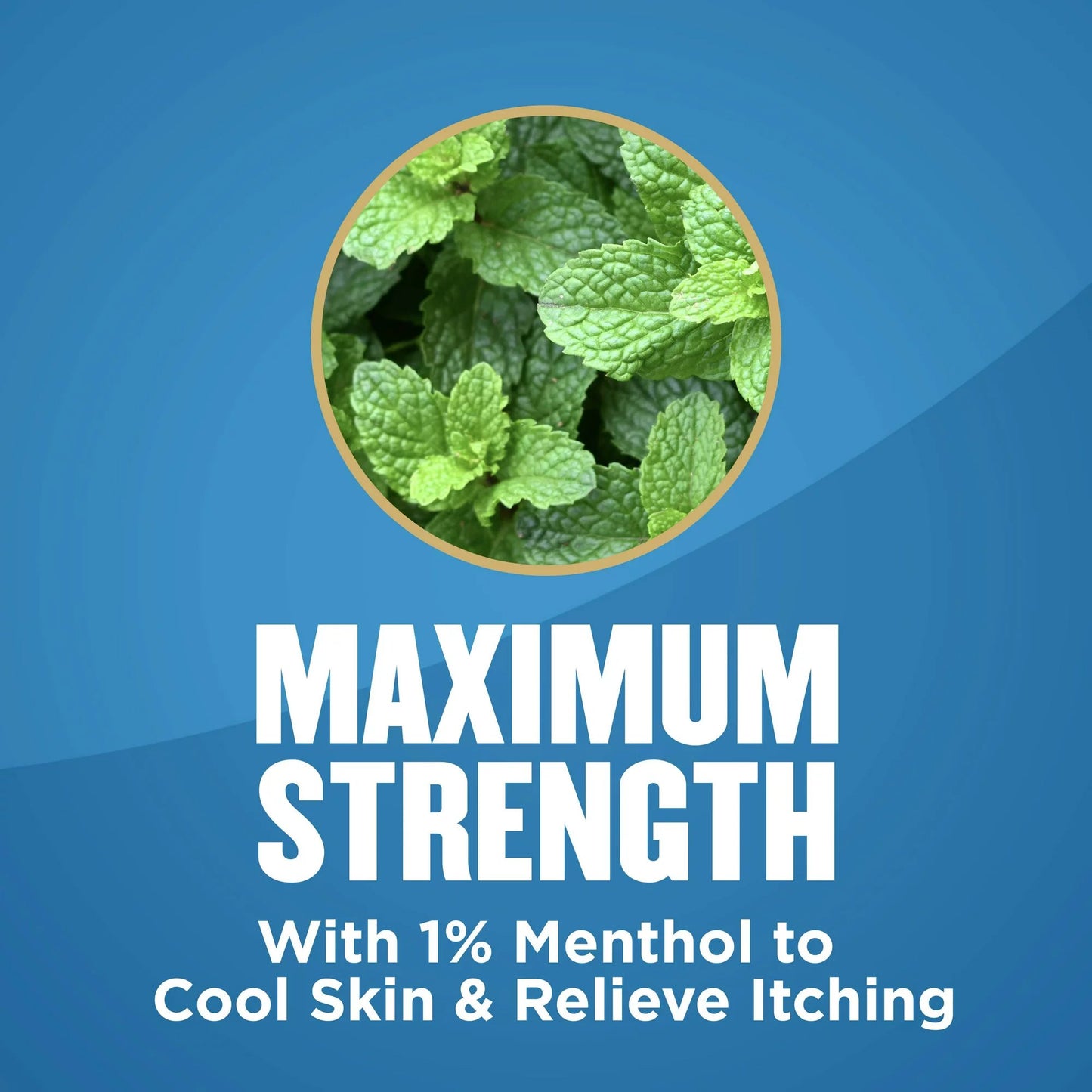 Gold Bond® Maximum Strength Medicated Foot Powder, 4 oz. 04116701706