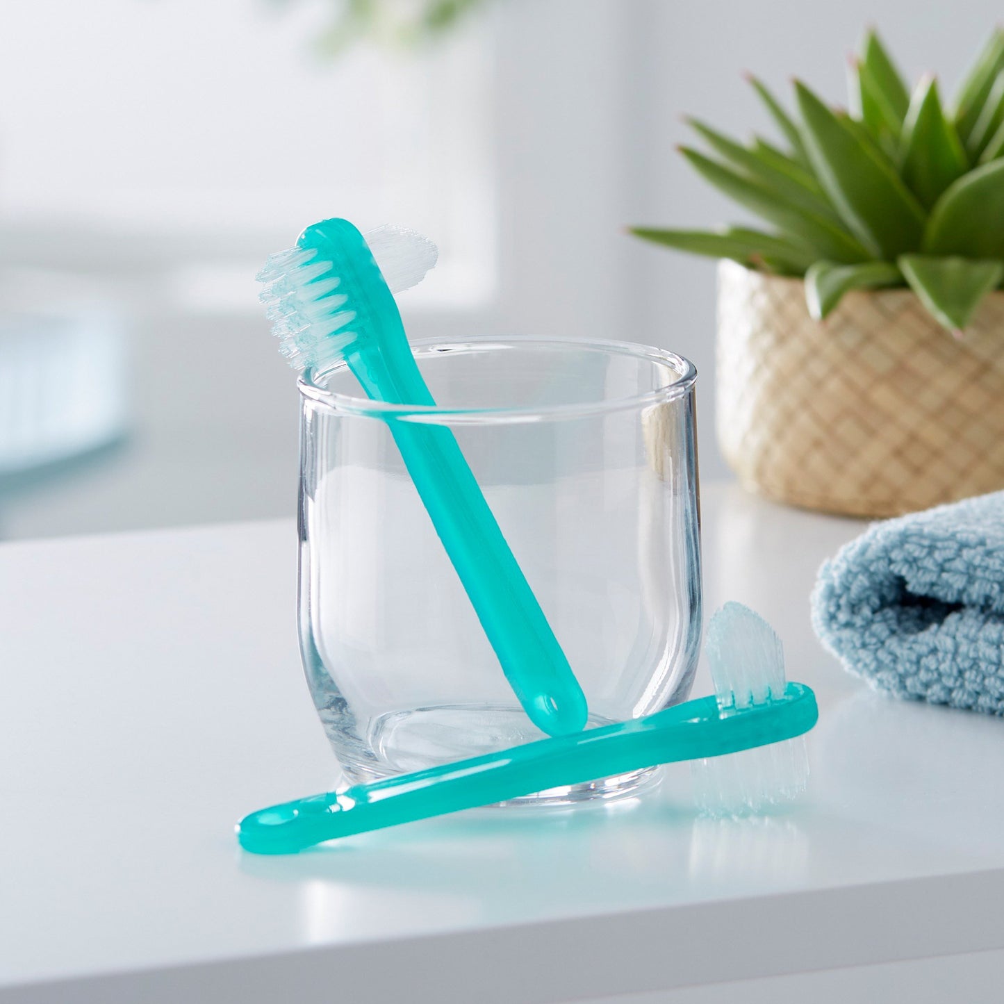 McKesson Denture Brush 16-TBDEN