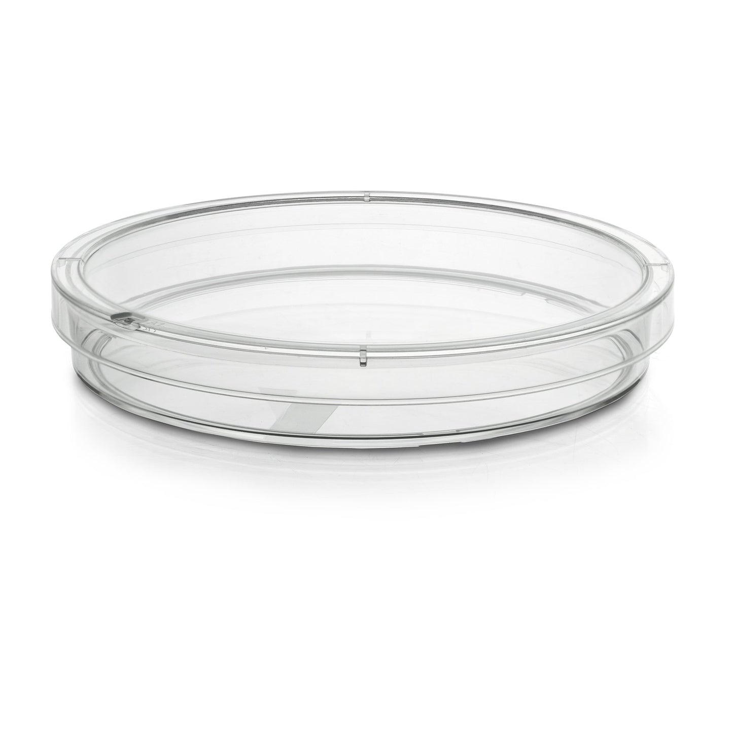 McKesson Petri Dish, 100 x 15 mm 16-PDK1004