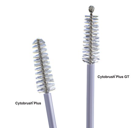 Cooper Surgical Cytobrush Plus Cytology Brush, 196 mm Length C0004, Box of 100