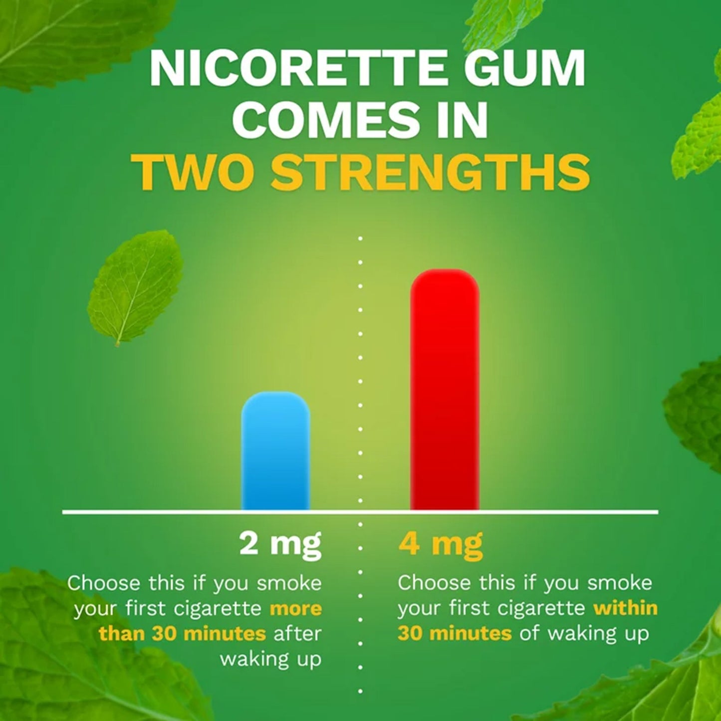 Nicorette Stop Smoking Aid Gum 4 mg Spearmint Burst with a Hint of Chamomile 00135053302