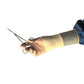 Protexis™ PI Polyisoprene Surgical Glove, Size 9, Ivory 2D72PT90X