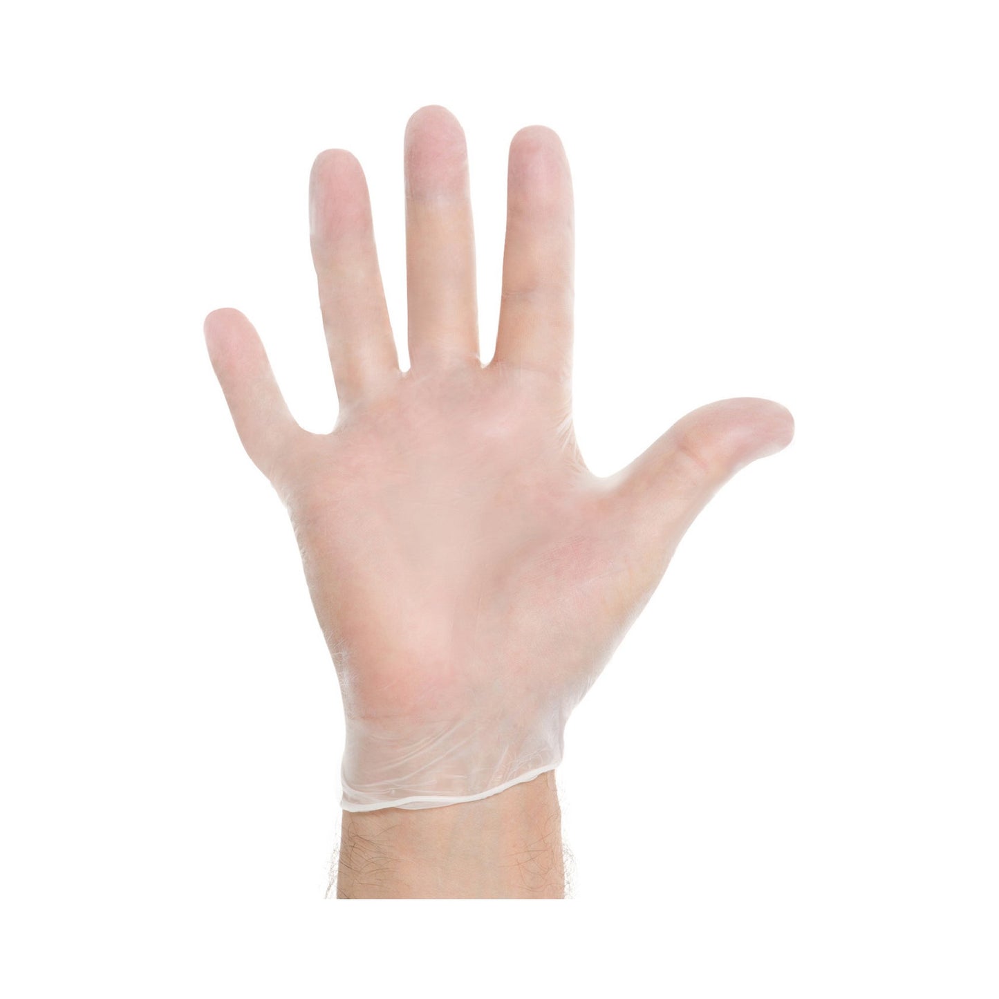 Halyard™ Vinyl Exam Glove, Large, Clear 55033