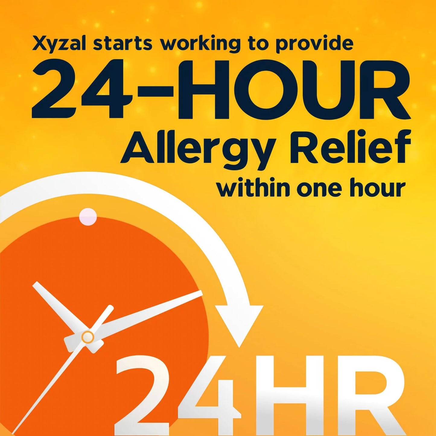 Xyzal® Allergy 24 HR Tablets 04116735101