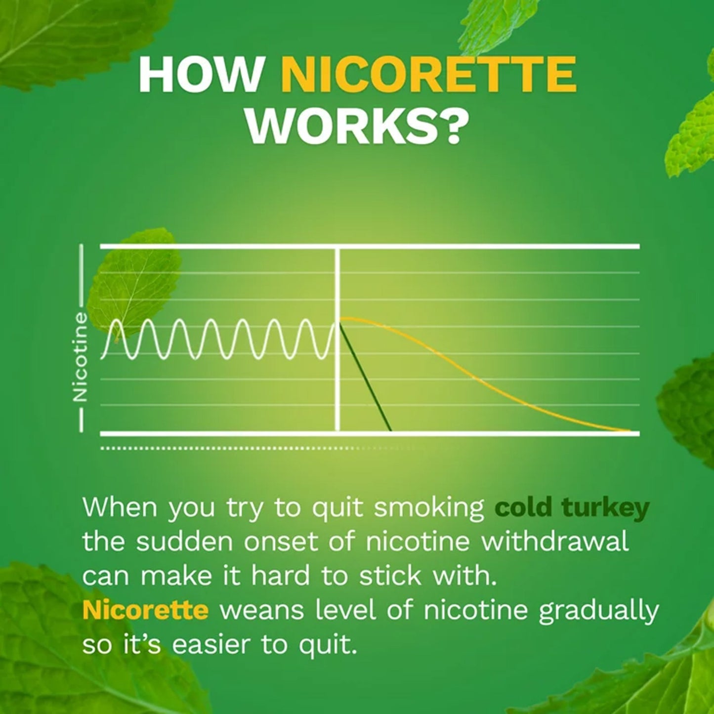 Nicorette Stop Smoking Aid Gum 4 mg Spearmint Burst with a Hint of Chamomile 00135053302