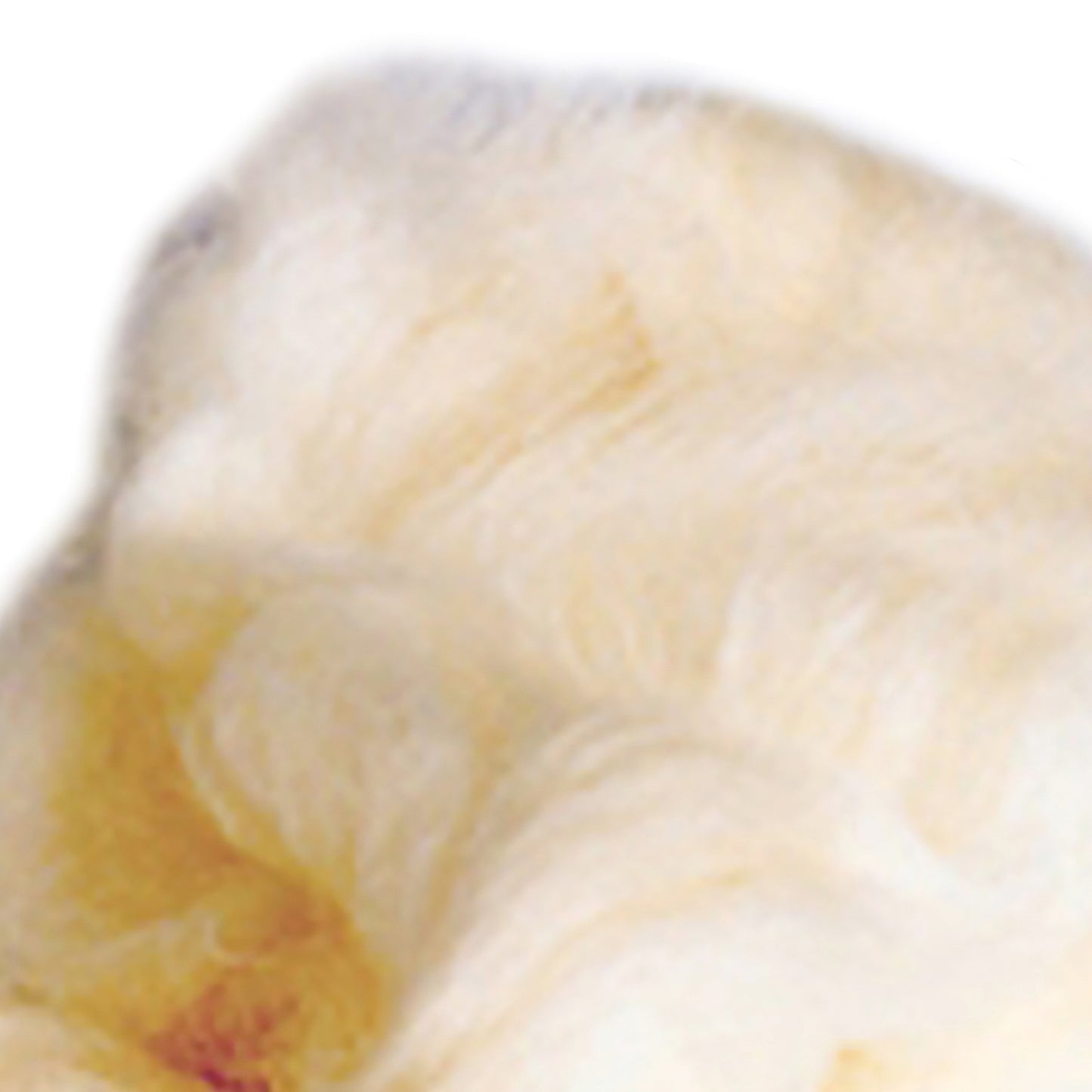 McKesson Lamb's Wool 4 oz. 48128