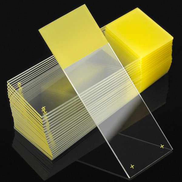 Diamond® White Glass Charged Positive Charged Microscope Slide, Yellow End 1358Y