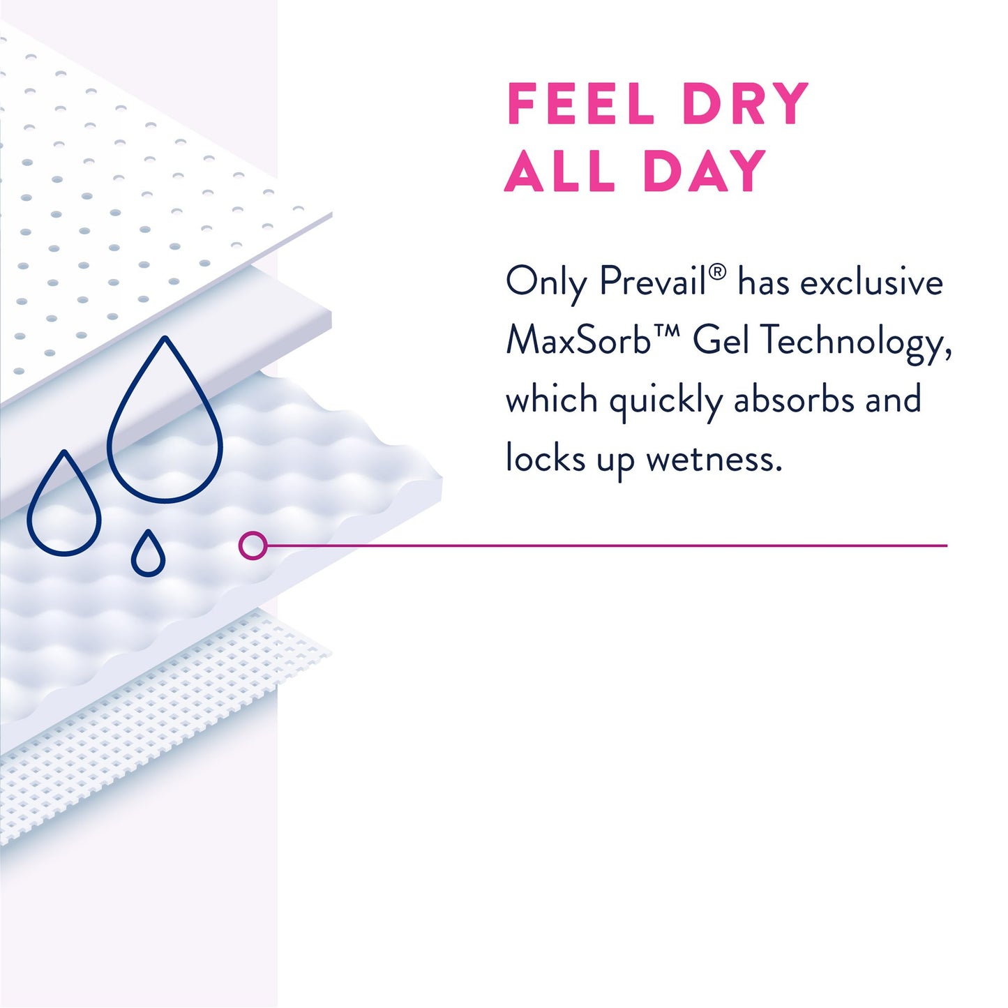 Prevail® for Women Daily Absorbent Underwear, Large, Heavy Absorbency | PWC-513/1 Medsitis.com_Medsitis_Medical_Supply_6