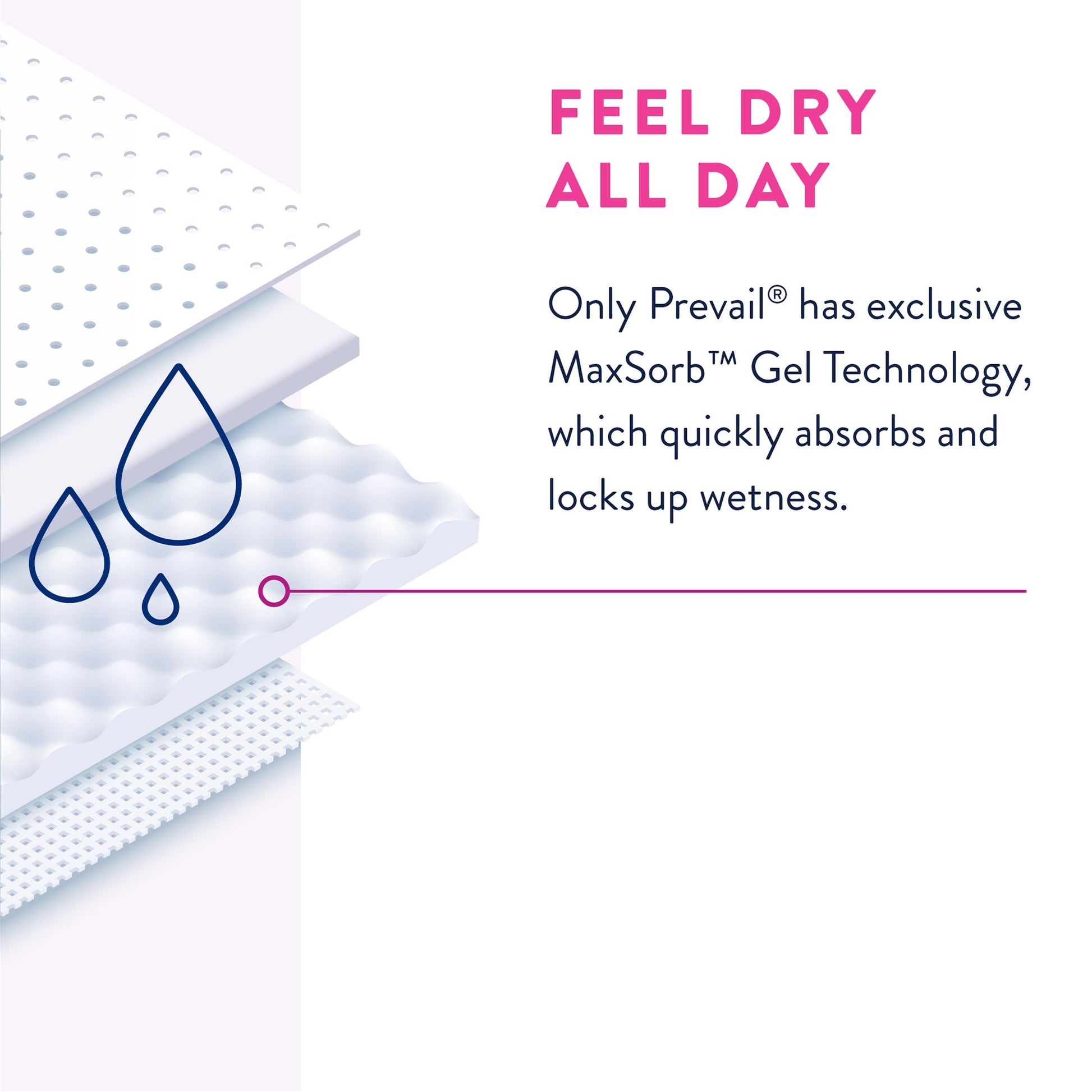 Prevail® for Women Daily Absorbent Underwear, Large, Heavy Absorbency | PWC-513/1 Medsitis.com_Medsitis_Medical_Supply_6