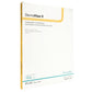 DermaView II™ Transparent Film Dressing with Border, 8 x 12 Inch 16812