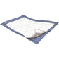 Disposable Underpad Passport™ 22 X 35 Inch Polymer Moderate Absorbency - 3834