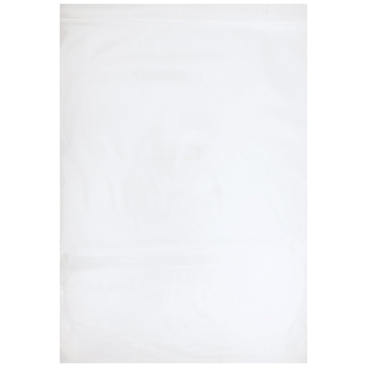 McKesson Zip Closure Bag, 9 X 12 Inches 4582