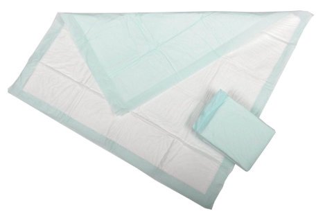 Disposable Underpad Economy 17 X 23 Inch Polymer Heavy Absorbency - 1801