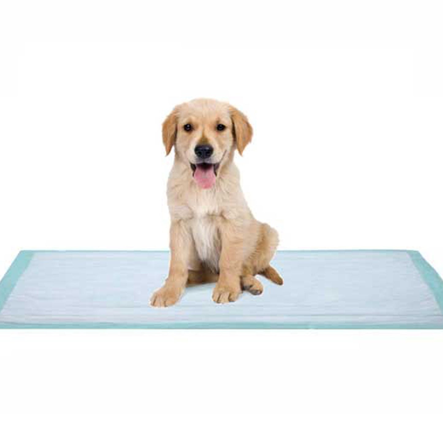 Dukal Fluff Underpad, 17 x 24 Inch 11724