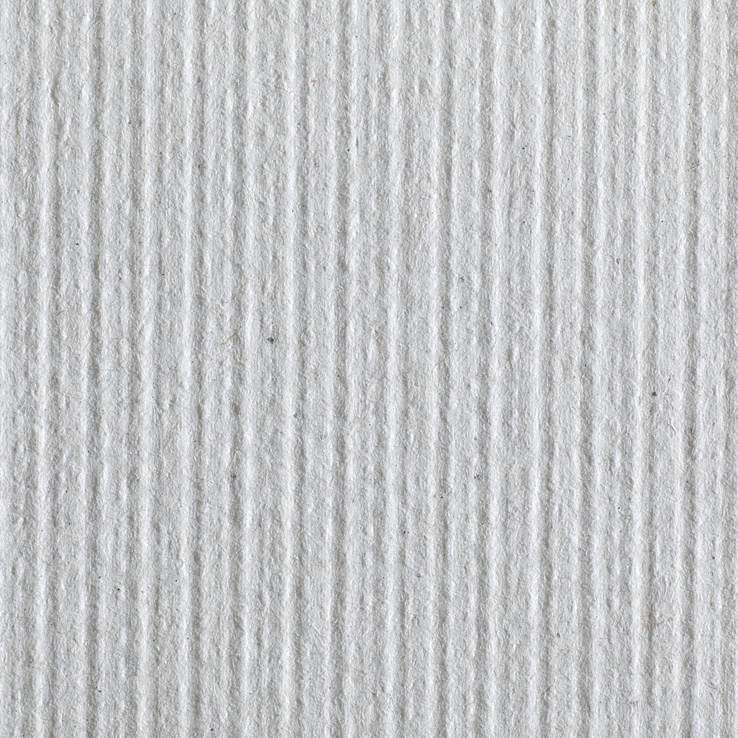 Pacific Blue Basic™ Paper Towel, 6 Rolls per Case 26601