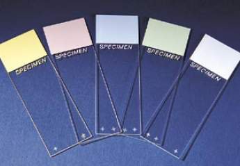 Charged Microscope Slide Superfrost® Plus 25 X 75 mm Frosted End - 4951PLUS-001