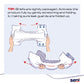 Seni® Super Plus Overnight Heavy Absorbency Incontinence Brief, Regular S-RE25-BP1