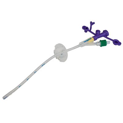 Cardinal Gastrostomy Tube with Y Ports Kangaroo™ with EnFit Connector 20 Fr - 8884720205E