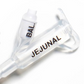 MIC-KEY® Jejunal (J) Feeding Tubes 18 Fr. - 0200-18 - Medsitis